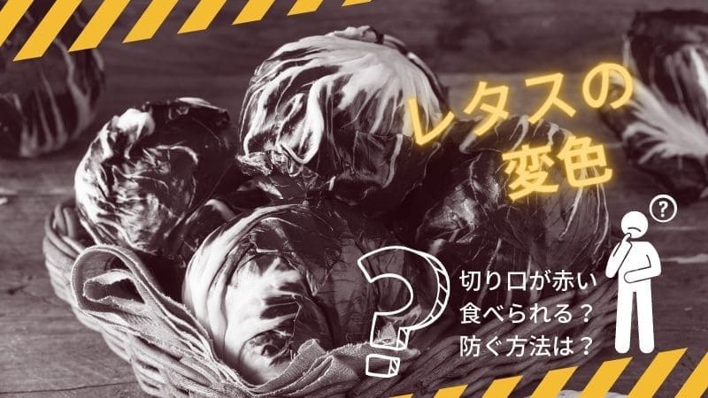 レタスが赤いのは食べられる?切り口が赤くなる理由と防ぐ方法