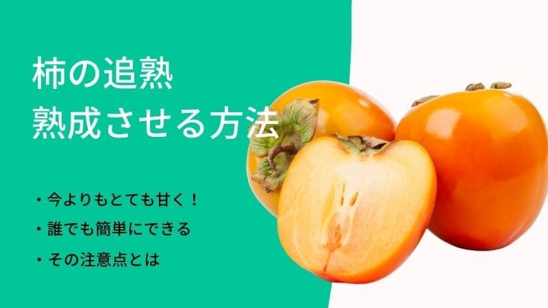 柿の追熟方法！柔らかくし熟成させ柿を甘くする方法とは