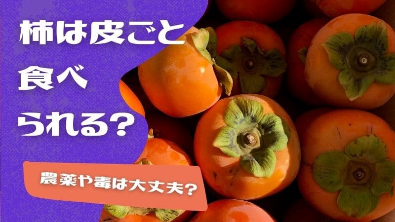 柿は皮ごと食べられる?でも農薬や毒は大丈夫?