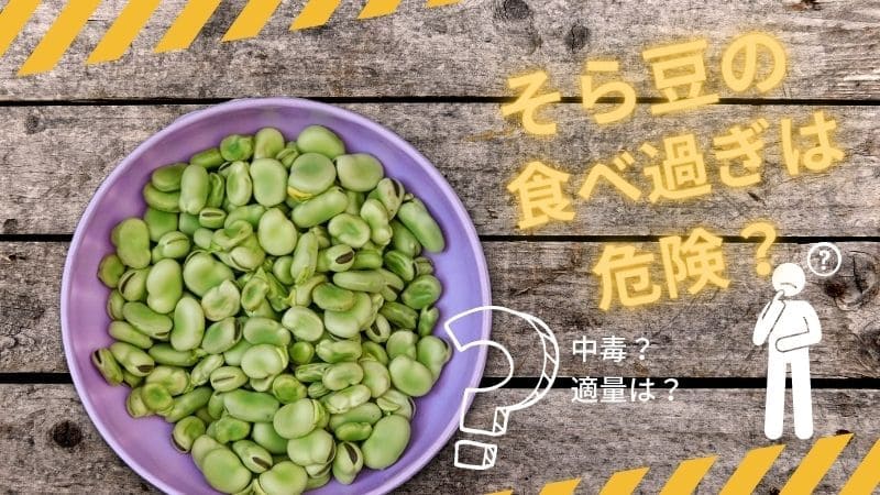 そら豆の食べ過ぎは中毒に?栄養満点だけど1日何粒までが適量?