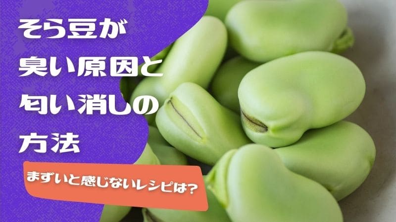 そら豆が臭い原因!匂い消しの方法やクサい･まずいと感じないレシピ