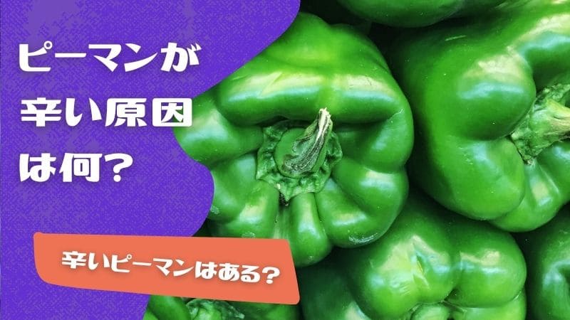 ピーマンが辛い原因!辛いピーマンに名前はある?