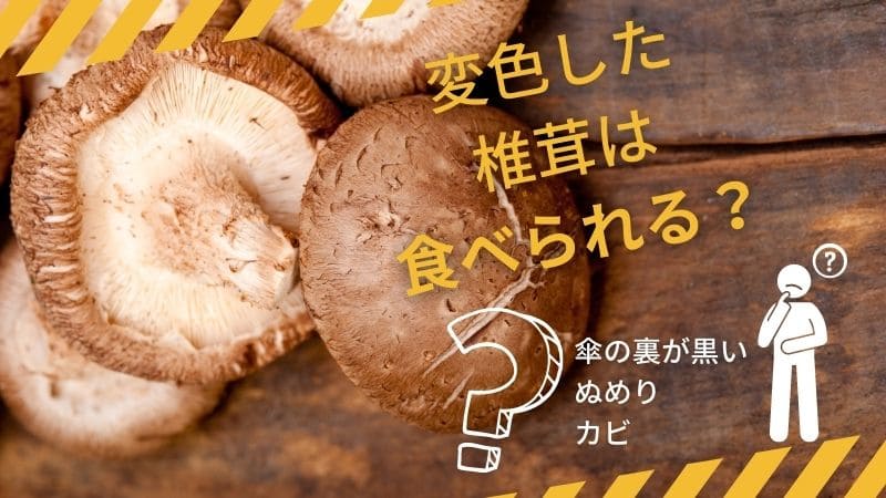 しいたけが腐ると?傘の裏が黒い･変色したのは食べられる?