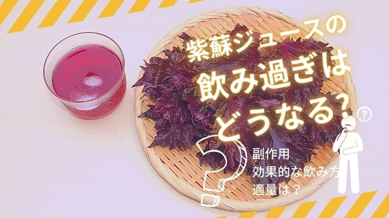 紫蘇ジュースの飲み過ぎはどうなる?効果や太る原因を解説