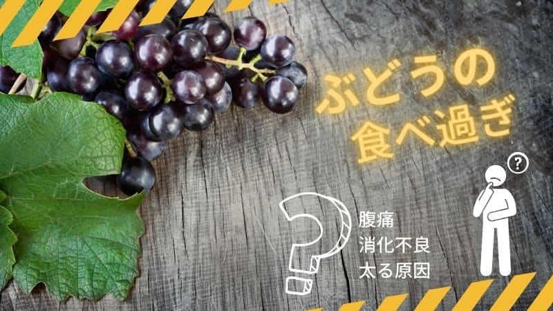 ぶどうの食べ過ぎは腹痛や消化不良､太る原因に?皮を食べるのは大丈夫?