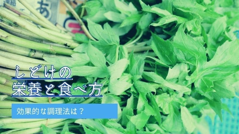 しどけの栄養と食べ方!効果的な調理法とレシピを覚えよう