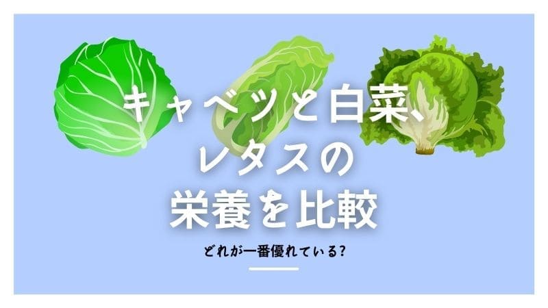 キャベツと白菜､レタスの栄養素を比較!どれが一番優れている?