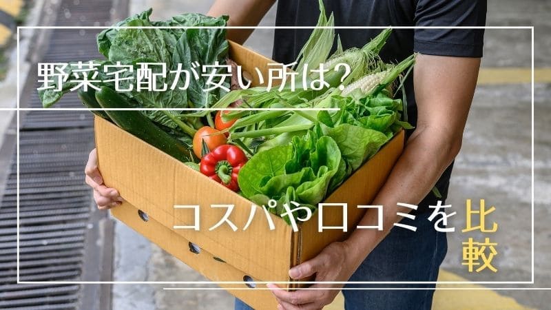 野菜宅配が安い所は?コスパや値段、口コミを比較