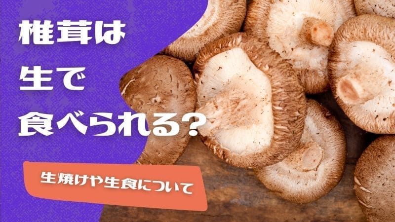 椎茸の生焼けや生食について/しいたけは生で食べられる？