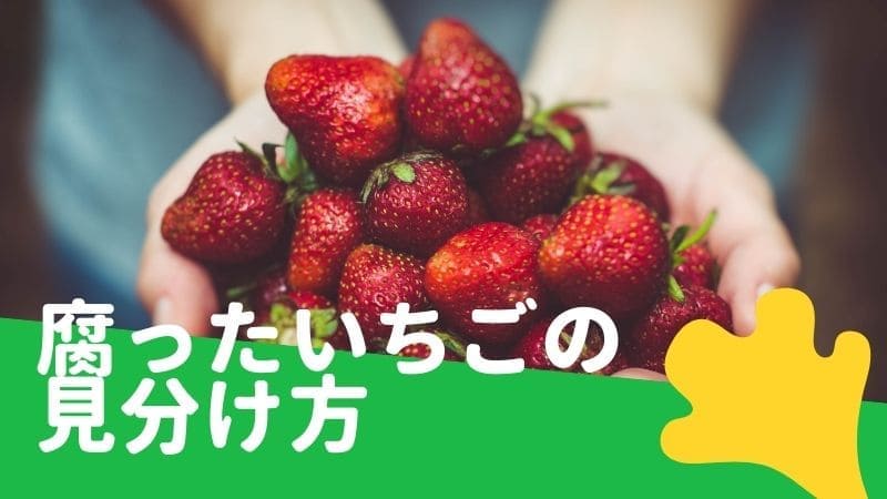 いちごが腐る･傷み具合の見分け方/ぶよぶよ､変色したのは食べれる?