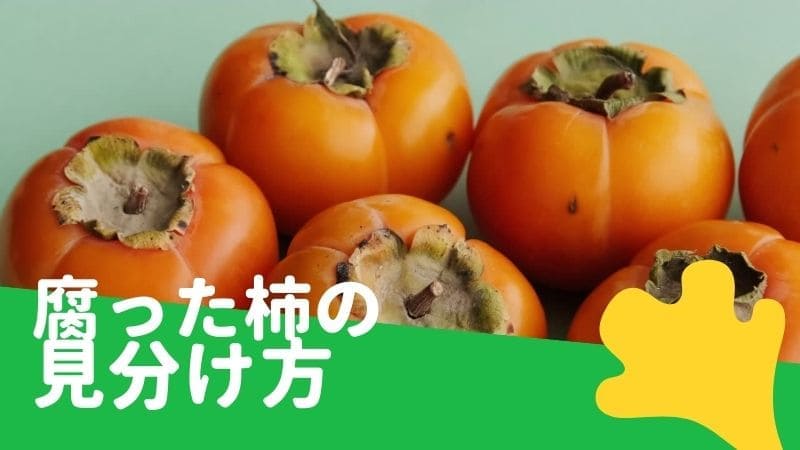 柿が腐る時の状態!柔らかい･ぶよぶよ･変色したのは腐ってる?