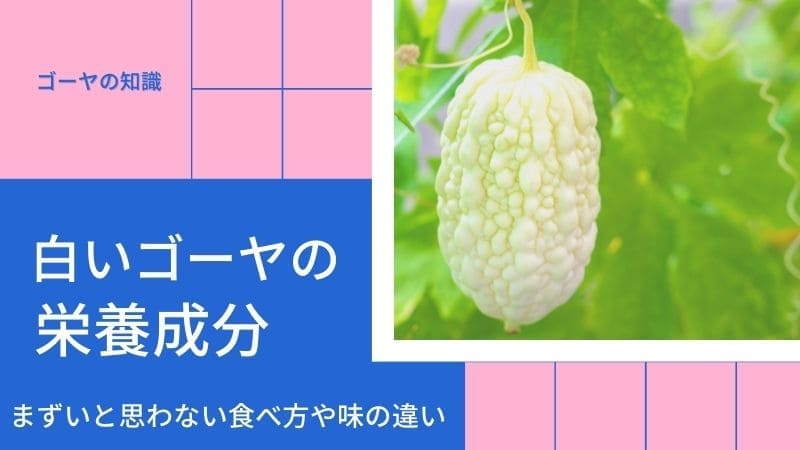 白いゴーヤの栄養成分!まずいと思わない食べ方､白ゴーヤの種類と味の違い