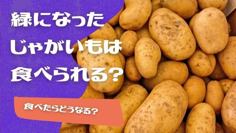 じゃがいもが緑に!緑っぽいのは食べれる?食べたらどうなる?